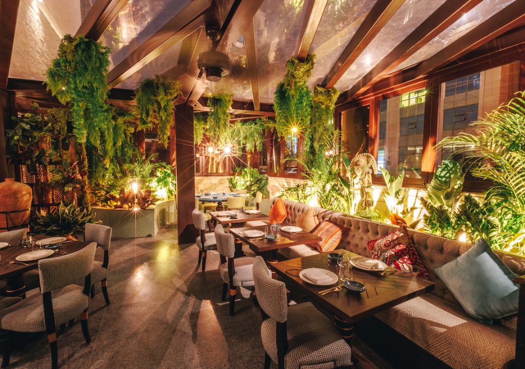 COYA lighting designers