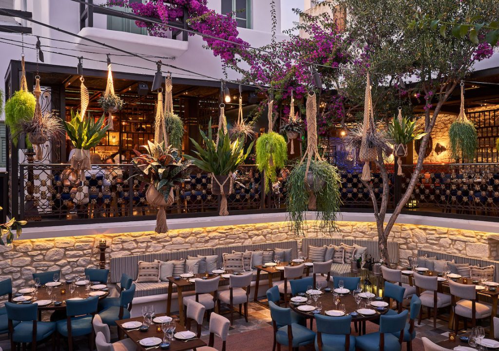 Coya restaurant lighting