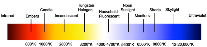 colour white scale